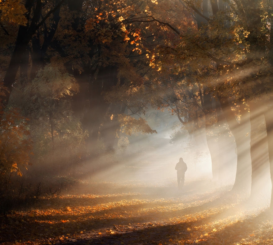 9 gyönyörű őszi fotó egy lengyel erdőről -  -  - hangulat, Lengyelország, ősz, őszi erdő, őszi színek, 