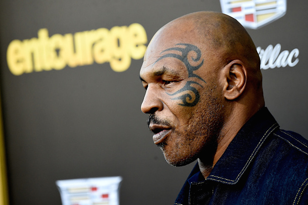 Az elnökválasztás előtt egy nappal - Nézd meg, kire szavaznak a hírességek -  -  - amerikai elnökválasztás, donald trump, hillary clinton, 