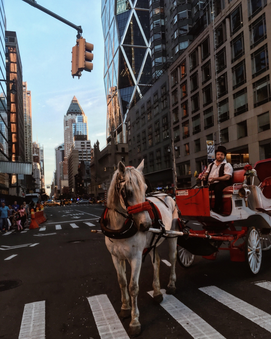 Top35: csodás képek a mindig lenyűgöző New York-ról -  -  - amerika, brooklyn, fotók, képek, manhattan, new york, nyaralás, utazás, 