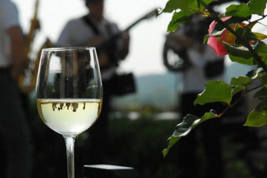 Borárverés a Tokaji Tavaszon - MOBILITY -  - bor, borárverés, 