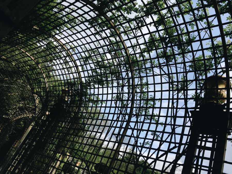 Top30: gyönyörű képek a tavaszi Párizsról -  -  - fotók, franciaország, párizs, tavasz, 