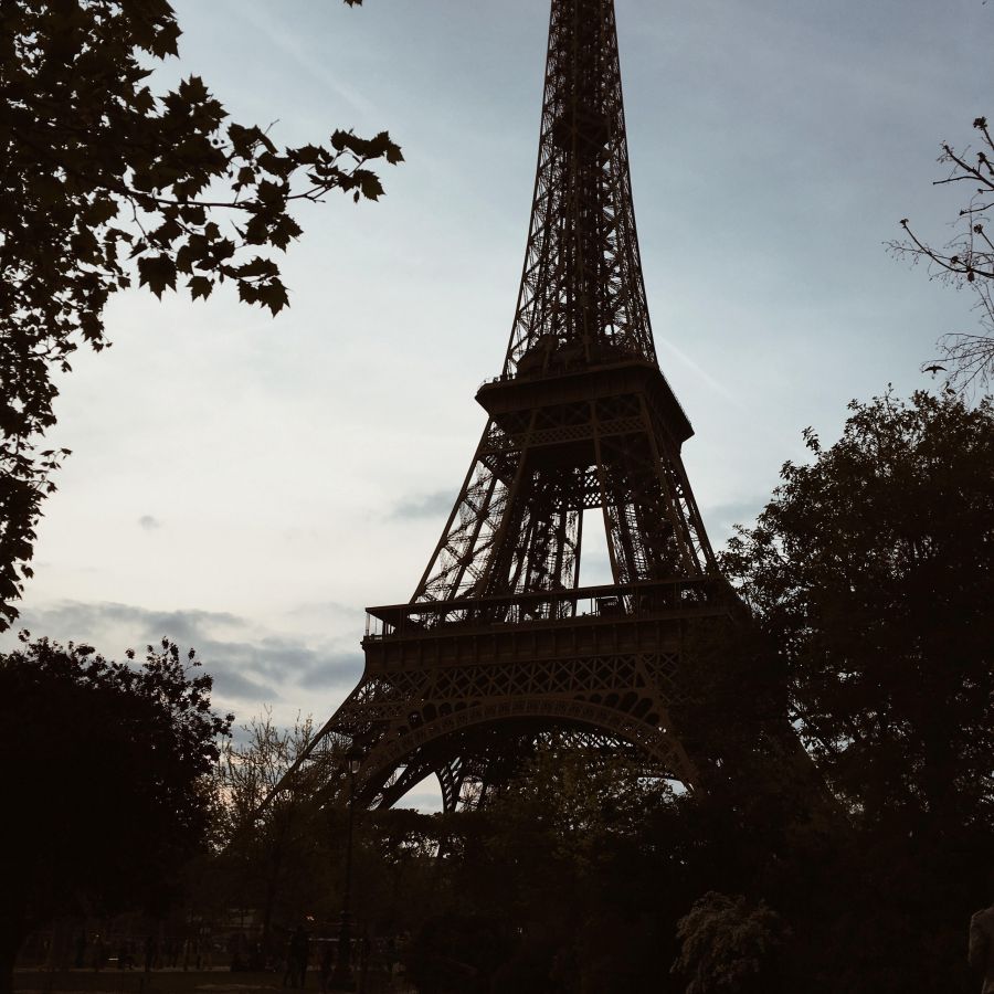 Top30: gyönyörű képek a tavaszi Párizsról -  -  - fotók, franciaország, párizs, tavasz, 