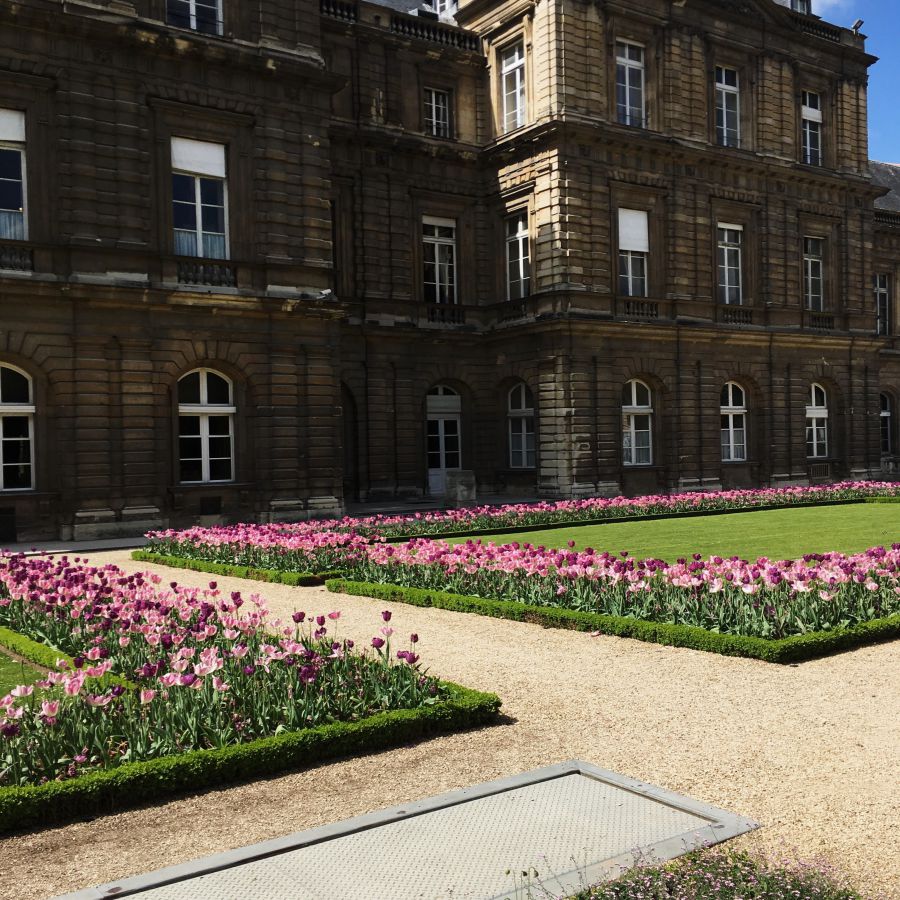 Top30: gyönyörű képek a tavaszi Párizsról -  -  - fotók, franciaország, párizs, tavasz, 