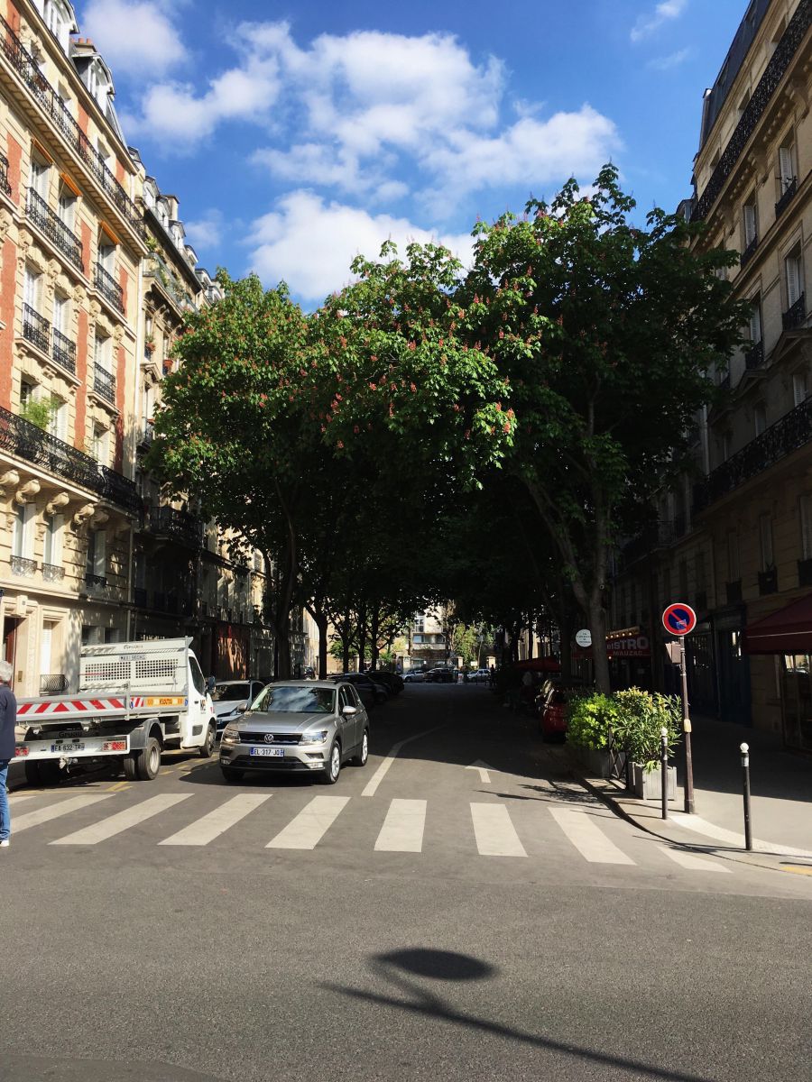 Top30: gyönyörű képek a tavaszi Párizsról -  -  - fotók, franciaország, párizs, tavasz, 