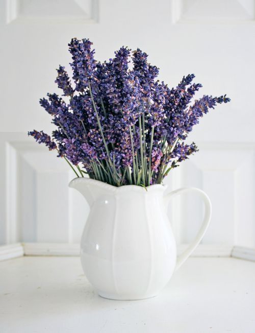 Home decor: borítsd be levendulával az otthonod -  -  - dekoráció, levendula, lila, otthon, 