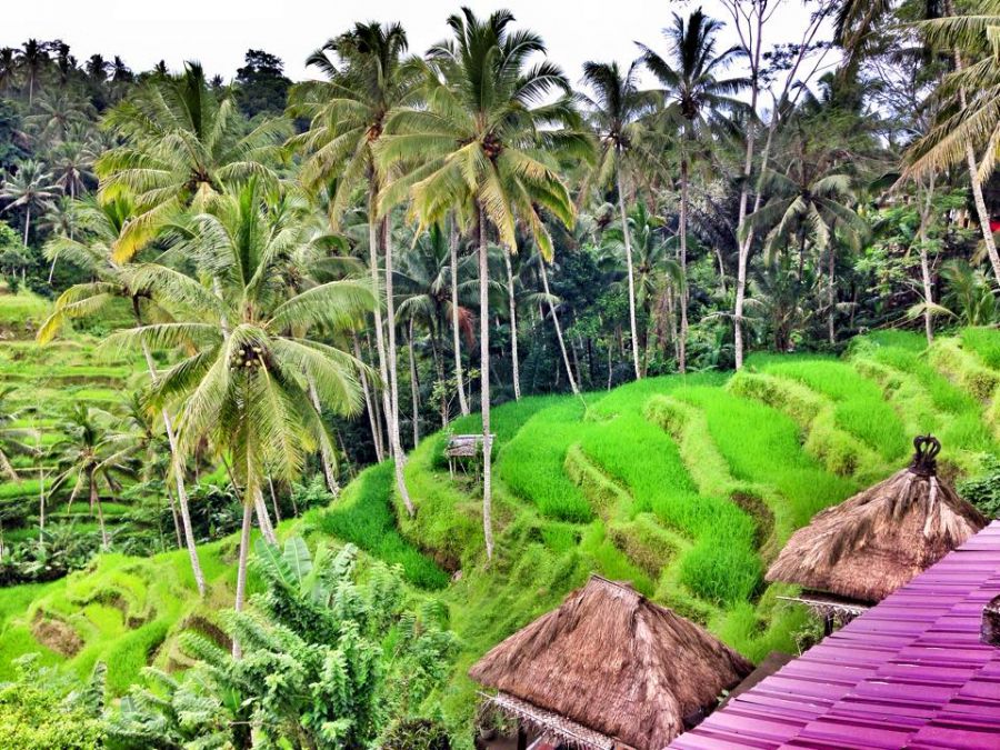 Az élet Balin - STYLELIFE - Utazás - 15tickets instagram, bali, indonézia, utazás, 