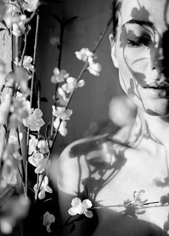 Kagyló -  -  - bezárul, elengedés, érzelmek, lélekhangok, szerelem, 