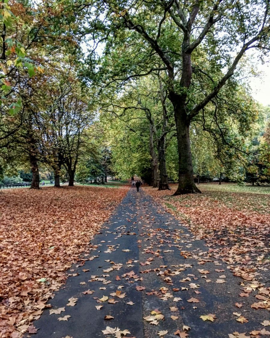 20 csodás fotó az őszi Londonról - STYLELIFE - Utazás - anglia, fotók, képek, london, ősz, 