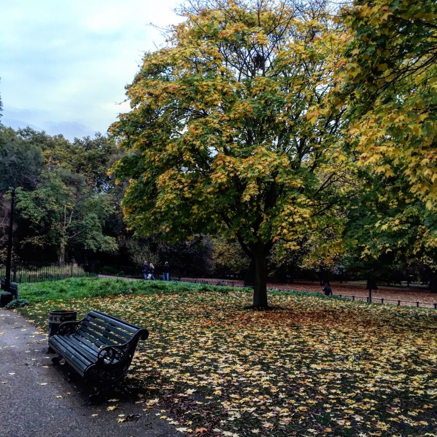 20 csodás fotó az őszi Londonról - STYLELIFE - Utazás - anglia, fotók, képek, london, ősz, 