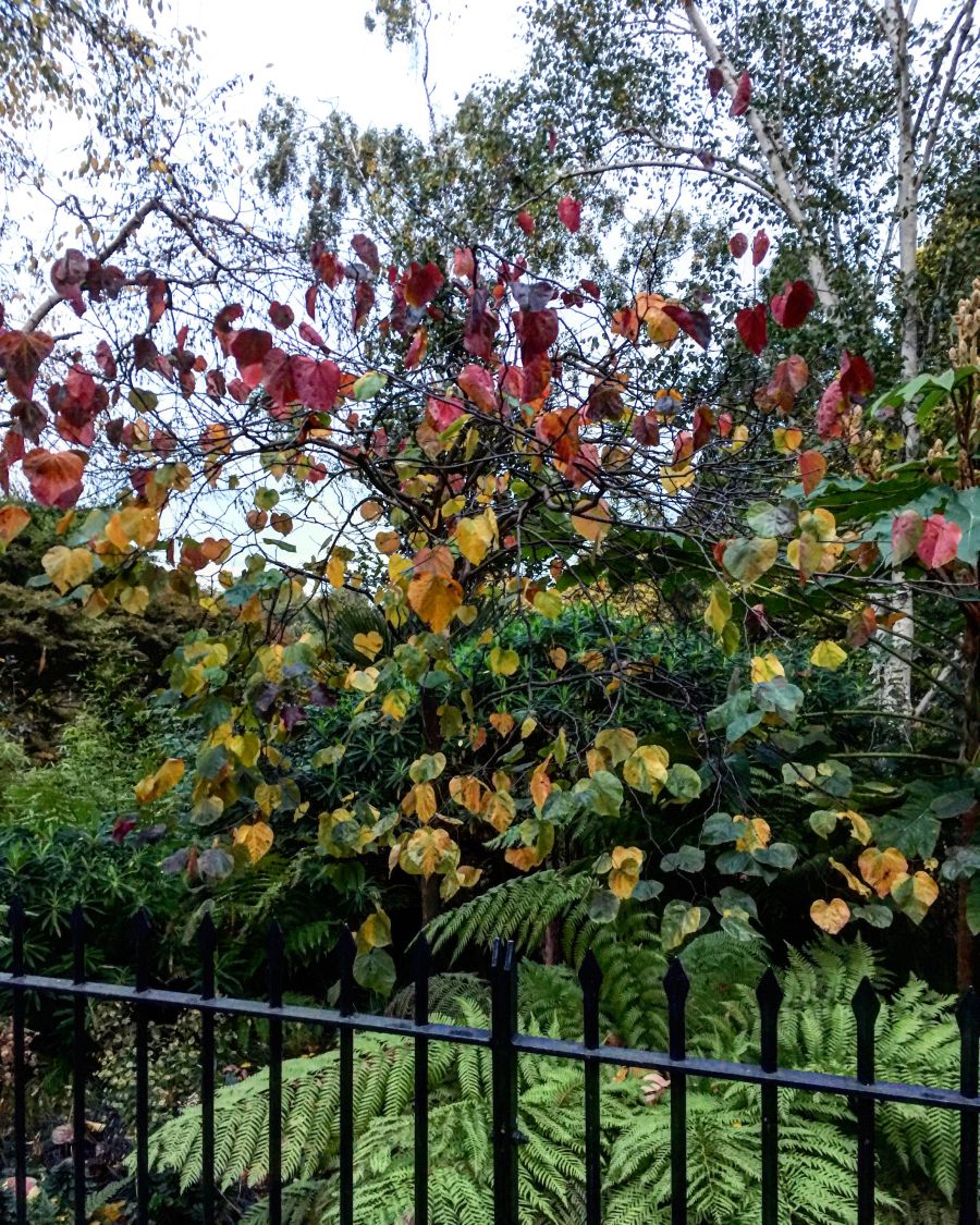 20 csodás fotó az őszi Londonról - STYLELIFE - Utazás - anglia, fotók, képek, london, ősz, 