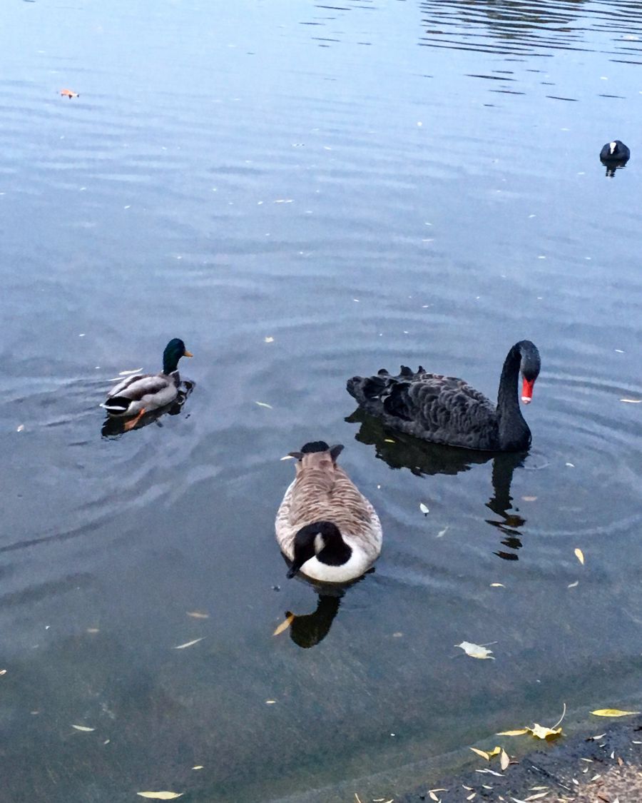 20 csodás fotó az őszi Londonról - STYLELIFE - Utazás - anglia, fotók, képek, london, ősz, 