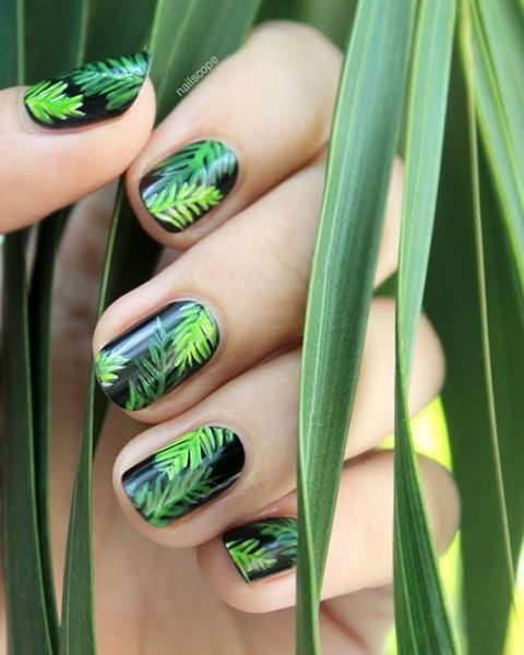 Top10: hangolódj páfrány és pálmaleveles manikűrrel a nyárra -  -  - levél, manikűr, minta, ötletek, pálmalevél, pálmalevelek, 
