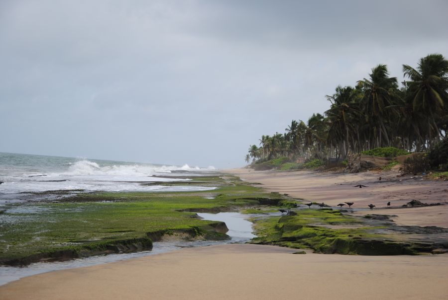 Sri Lanka - A fűszer, ami megízesít - STYLELIFE - Utazás - dr almásy gyula, indiana jones, sri lanka, utazás, 