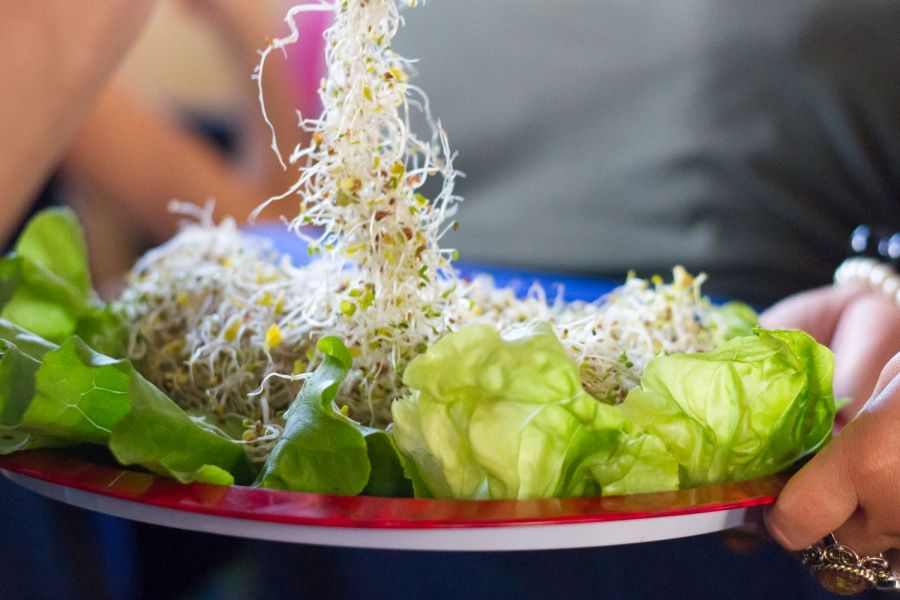 Hamarosan kezdődik a 22. Vegetáriánus Fesztivál - Kikapcsoló - STYLENEWS - fesztivál, vegetáriánus, 