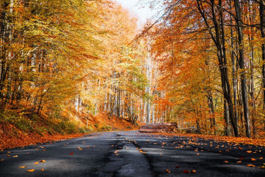 Magyarország legszebb kiránduló helyei ősszel -  -  - kirándulás, magyarország, ősz, 