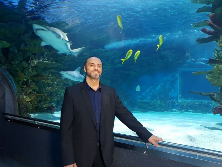 'A búvárkodás egy fantasztikus látvánnyal járó, rendkívül nyugodt élmény' - interjú Farkasdi Thomasszal, a Tropicarium tulajdonosával - STYLELIFE -  - búvárkodás, farkasdi thomas, interjú, sportolás, tropicarium,