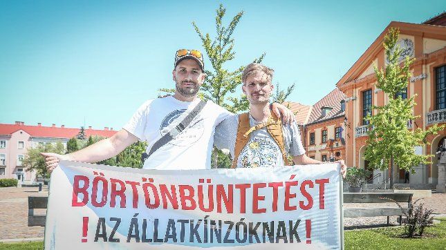 Most csincsillákért harcolt Kiss Norbert - Autó & Motor - MOBILITY - kamionversenyző, kiss norbert, macskaárvaház,