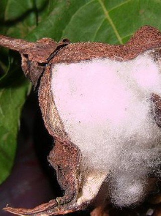 Mikor passzol egy farmer? - Divathírek -  - 2010, divat, farmer, öltözködés,