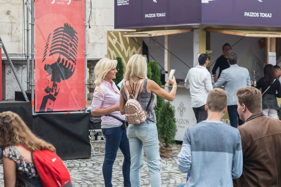 Stílus és Borászat - Kikapcsoló -  - borfesztivál, budai vár, budapest,