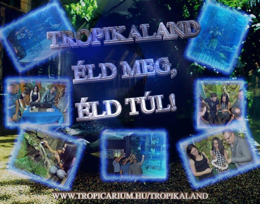 TropiKaland - Éld meg, éld túl! -  -  - állatkert, Budapest, tropicarium, tropikaland, 