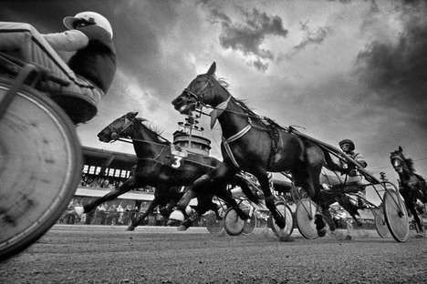 Az év fotói, Pictures of the year 2006. -  -  - 2006, év fotói, Pictures of the year, 