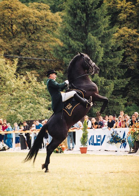 Lovas Nemzet -  -  - Lovas Nemzet, 