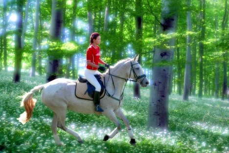 Lovas Nemzet -  -  - Lovas Nemzet, 