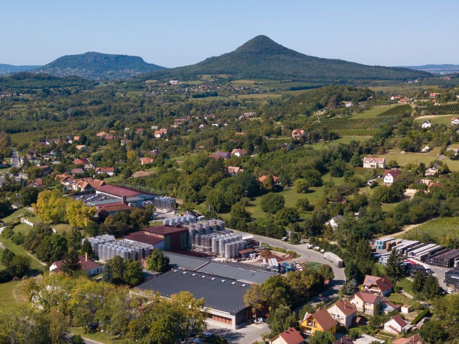 Varga Pincészet - A jövő felé - Interjúk -  - badacsony, balaton, interjú, varga pincészet, 