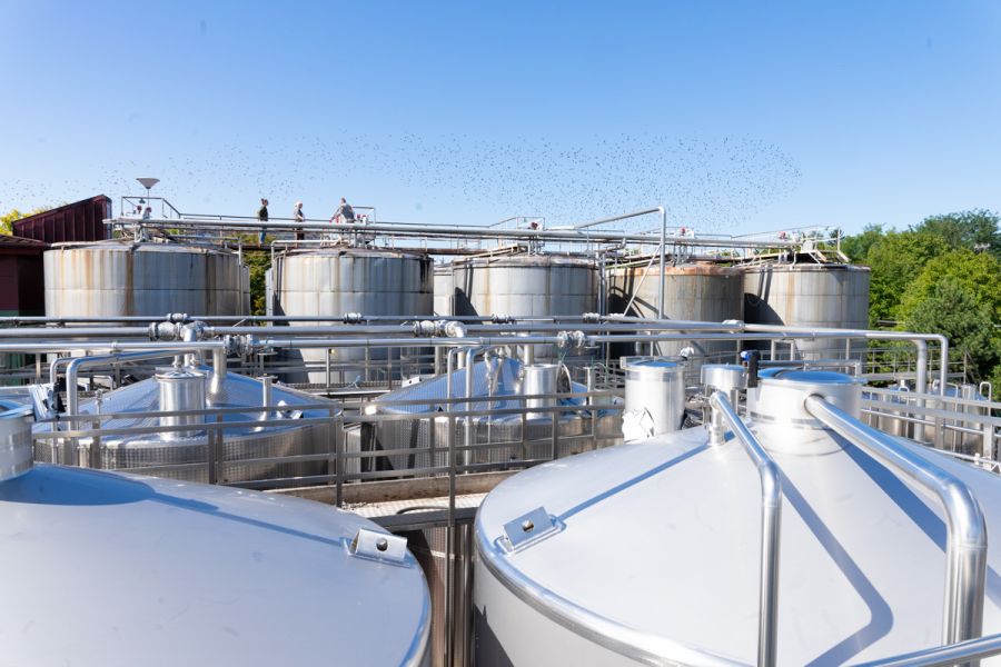 Varga Pincészet - A jövő felé - Interjúk -  - badacsony, balaton, interjú, varga pincészet, 