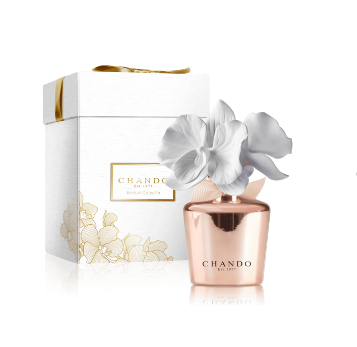 Varázsold hangulatossá az otthonod az ünnepekre a legfinomabb illatokkal -  -  - 