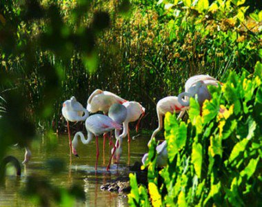 Tanzánia - Utazás -  - 