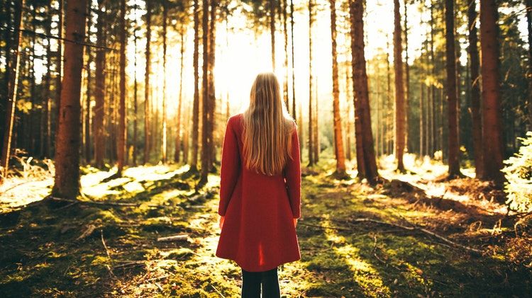 Lehetnék több is -  -  - bátorság, ego, elégedetlenség, komfortzóna, önismeret, önszeretet, 