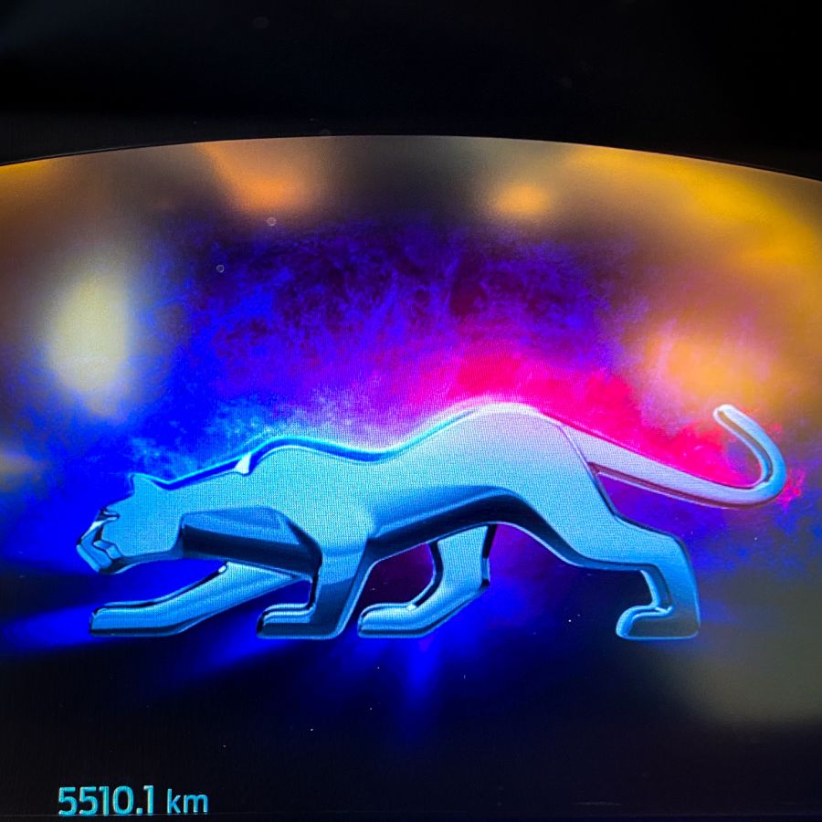 A Puma újra támad – Ford Puma ST-Line X 1.0l EcoBoost 155Le - Autó & Motor - MOBILITY - ford, ford crossover, ford mild hybrid, ford puma, ford puma teszt, ford suv, fordító, new ford puma, új ford puma,