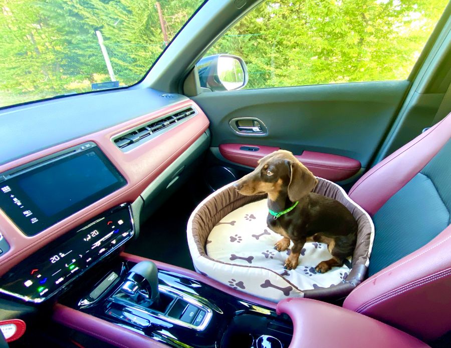 Az utolsó szamuráj - Honda HR-V 1.5 Turbo Sport CVT - Autó & Motor - MOBILITY - honda hrv, honda hrv sport, honda suv, honda teszt, hrv teszt, 