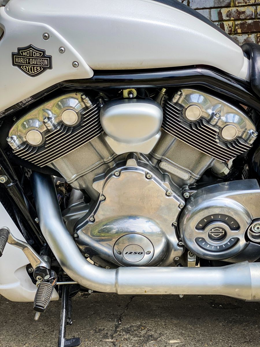 A Cool-tikus motor – 2014 Harley Davidson V-Rod Muscle használt motor teszt - Autó & Motor - MOBILITY - harley davidson, harley davidson teszt, vrod harley, vrod muscle, vrod teszt,