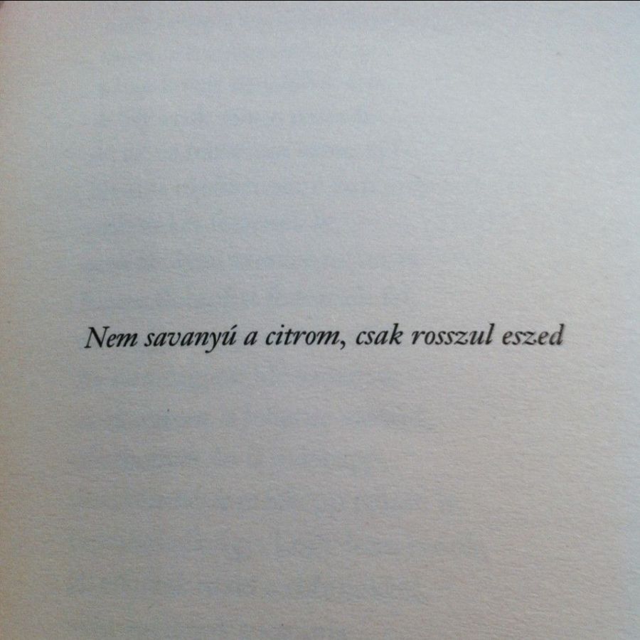 'A nosztalgia ad kétezer tonnás súlyt az életnek' - avagy Kemény Zsófival elolvastuk Tompa Andrea: Haza című könyvét -  -  - könyvajánló, kultúra, 