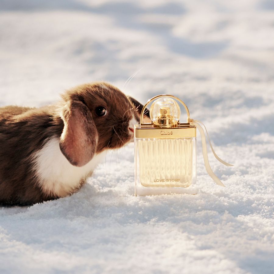Karácsonyi meglepetés: Chloé illat vásárlásakor egy Chloé jegyzetfüzet az ajándék -  -  - chloé love story, chloé nomade, chloé parfüm, chloé signature, 
