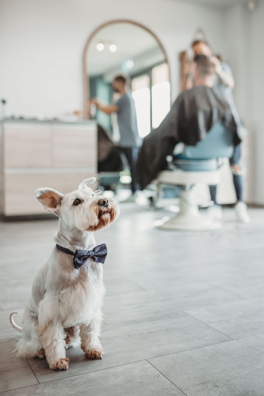 Borbély a kikötőben - Barber Bay Budapest - Ápolt vagyok - ÉN - barber, barber bay, budapest, marina part, 