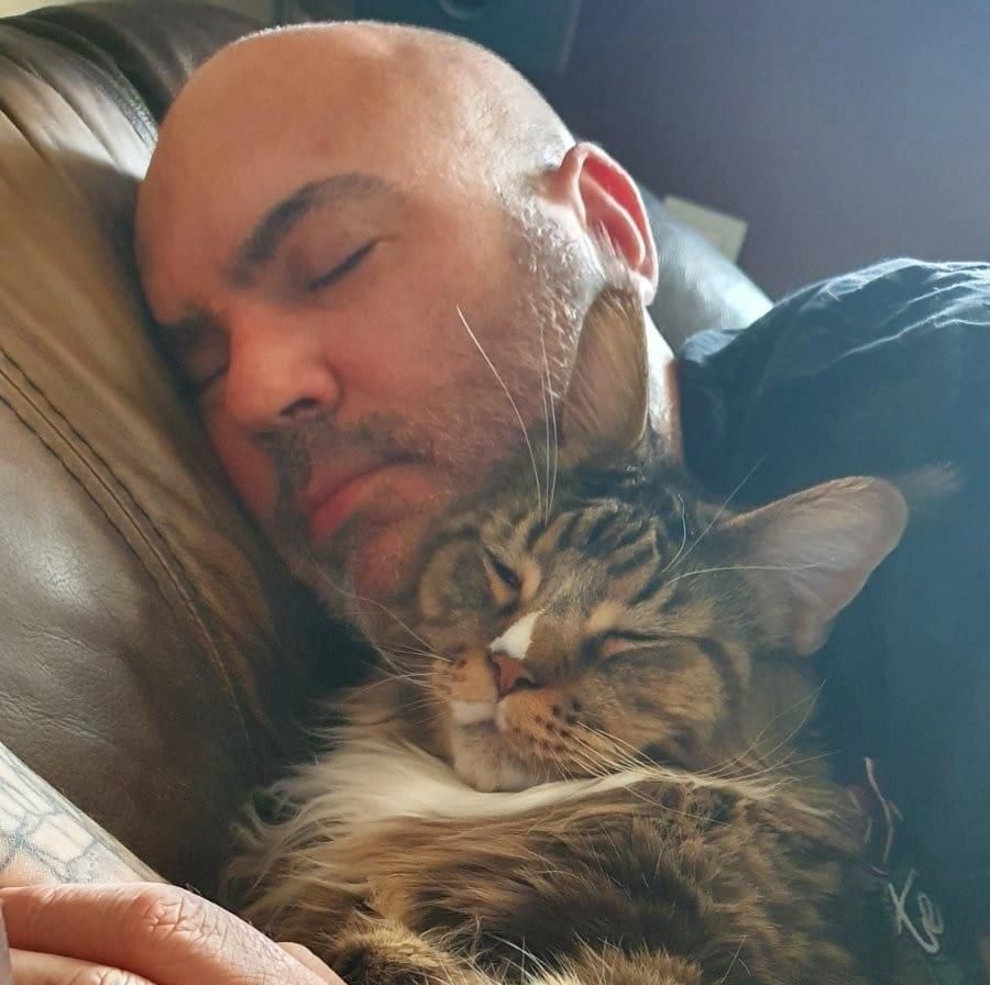 A macskás férfi, aki 'vadász üzemmódban' van, tényleg veszélyes? -  -  - férfi, macska, macskás, 