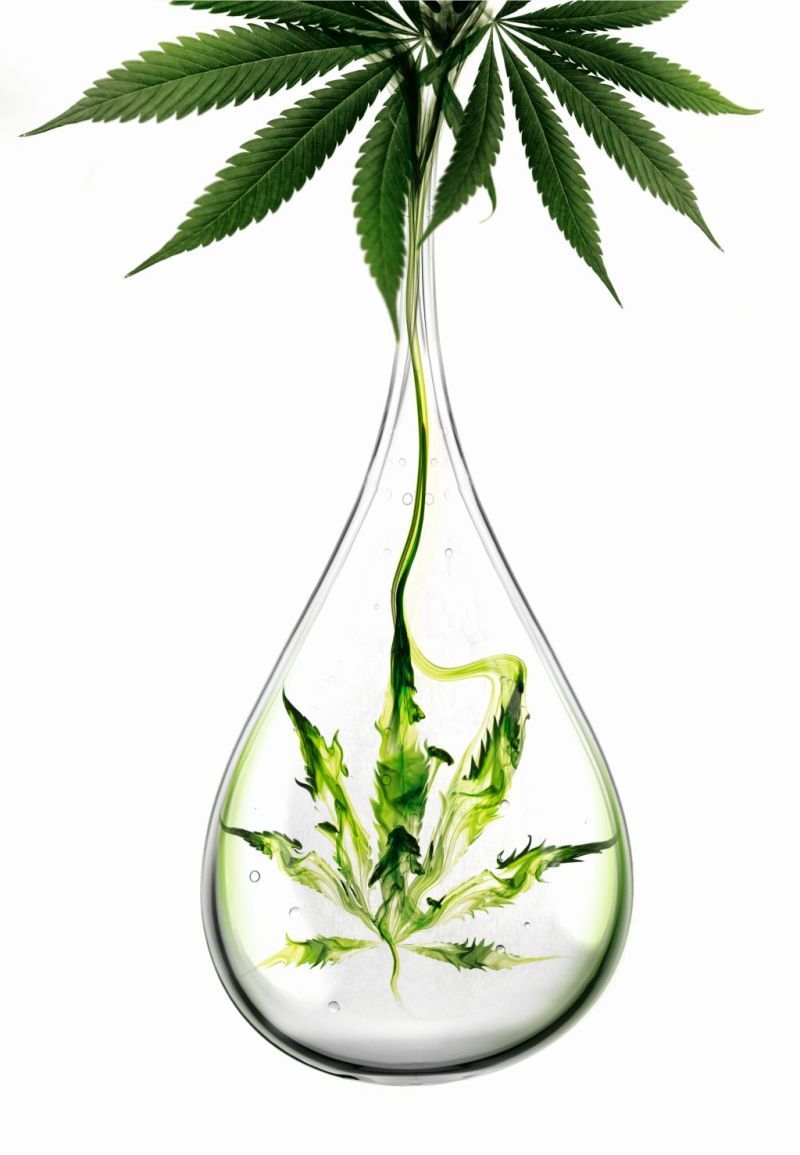 Bőrünk és a kannabisz barátsága avagy hogyan lett a régi„mumusból” értékes hatóanyag? -  -  - kannabisz, kendermagolaj, kendermagolaj a bőrnek, 