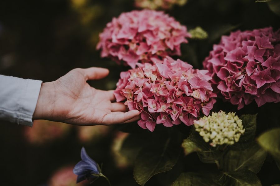 Ami nélkül nem létezik valódi intimitás - a fizikai érintés -  -  - érintés, intimitás, tapintás, 
