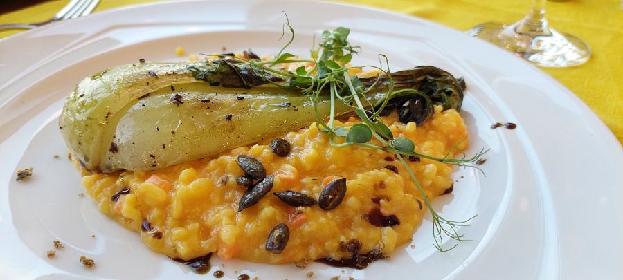 Sulyom Étterem- Gasztrostílus a Tisza-tónál -  -  - gasztronómia, gasztroturizmus, sarud, sulyom étterem, táj étterem, tiszató, 