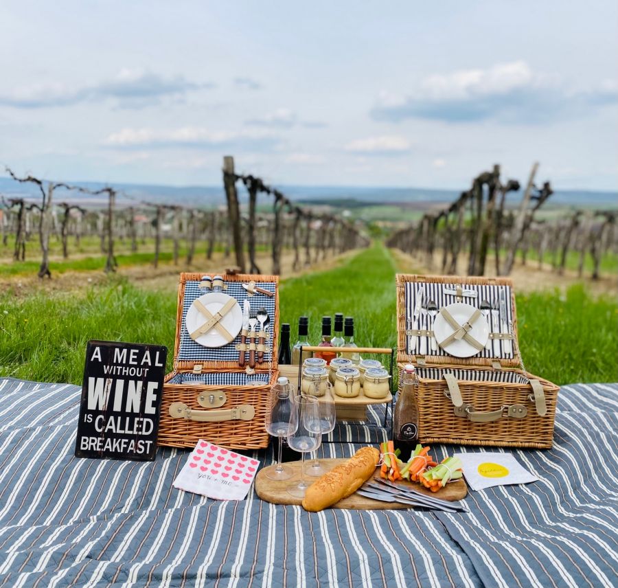 Sétált oroszlánokkal, evezett aligátorok és búvárkodott cápák között – most Etyeken készít különleges borokat - STYLELIFE - Gasztronómia - bor, borász, Etyek, The Vine HRVSTD for You, varga zsombor,