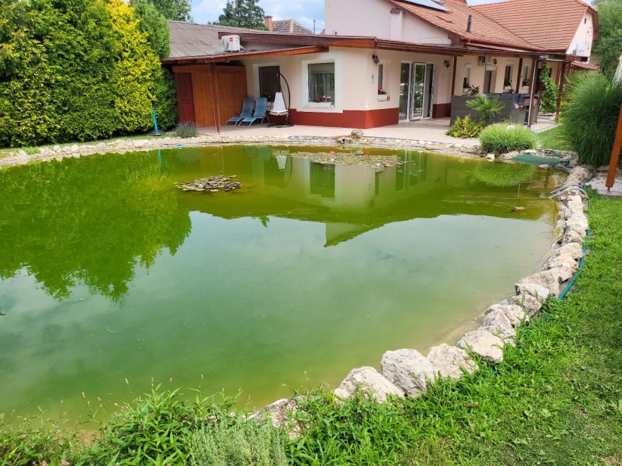 A gyógyulás az munka – beszélgetés Pokorny Lia színésznővel -  -  - egészség, mora, pokorny lia, 