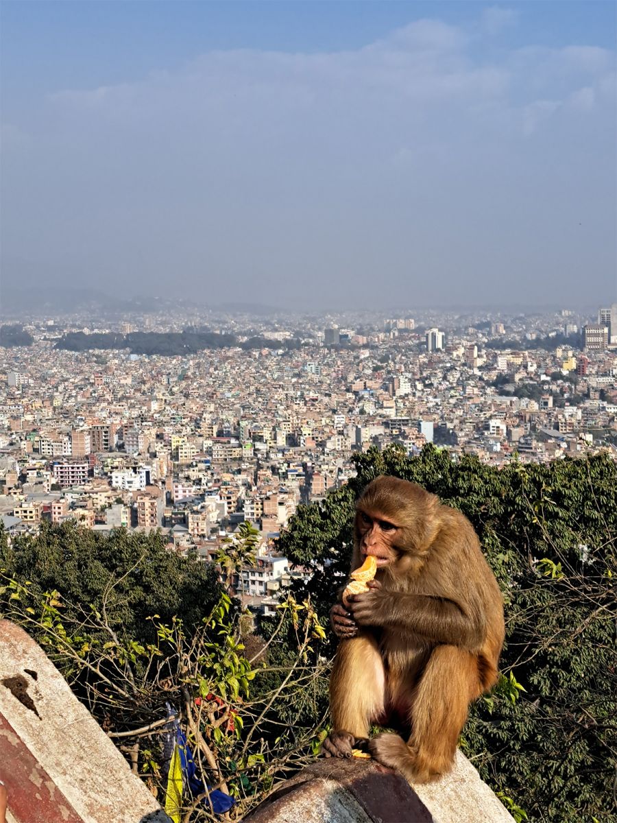 'A nyolcezres hegyek között elgondolkozol, hogy milyen jelentéktelen vagy' - Útinapló Nepálból - STYLELIFE - Interjúk - dósa péter, hegymászás, himalája, nepál, nepál utazás, 