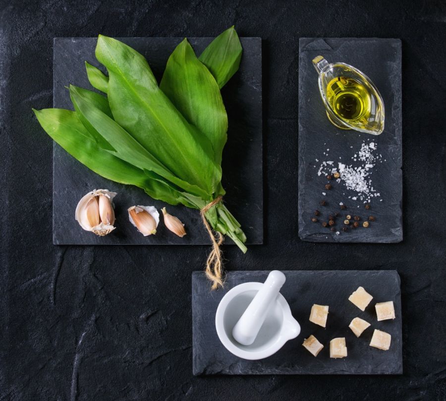 Egy íz az erdőből – receptekkel - STYLELIFE - Gasztronómia -