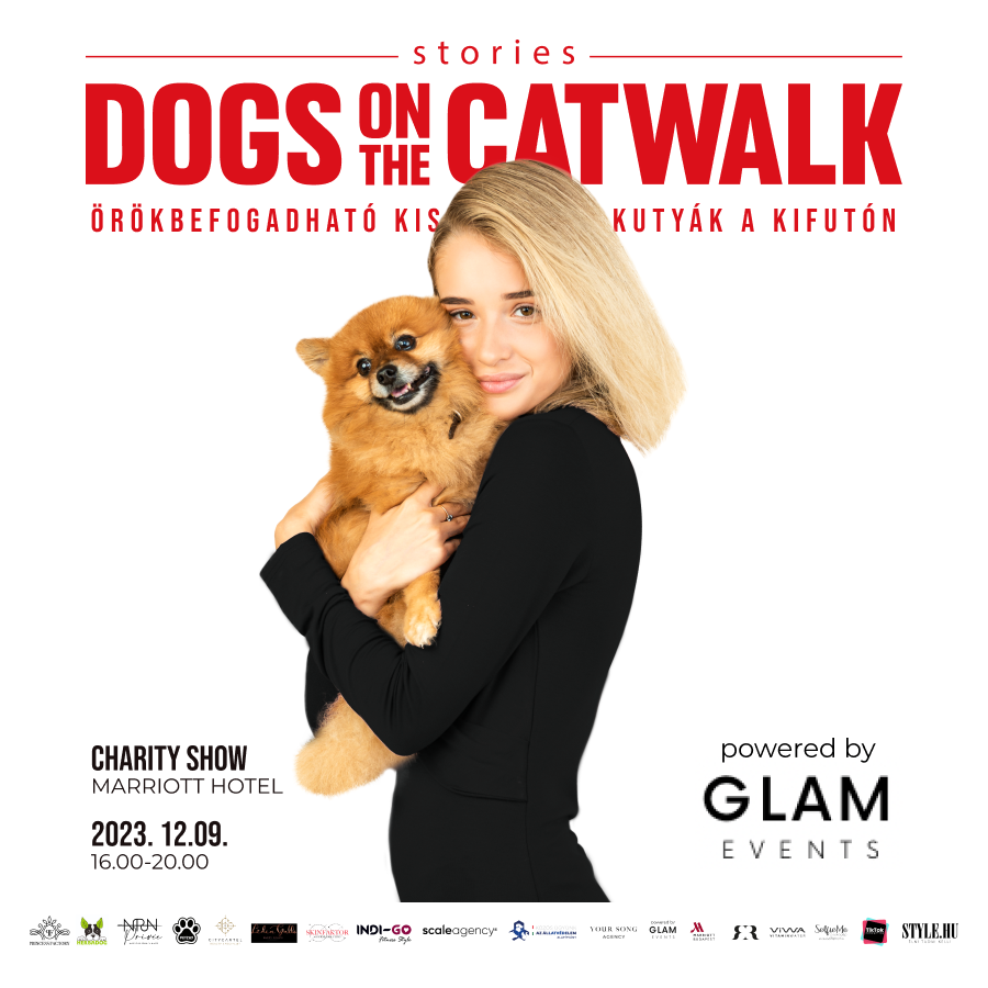 Kiskutyák a kifutón: Nemes ügy mellé álltak a sztárok -  -  - dogs on the catwalk, Kiskutyák a kifutón, kutyák, kutyus, örökbefogadás, örökbefogadható kutyák, 