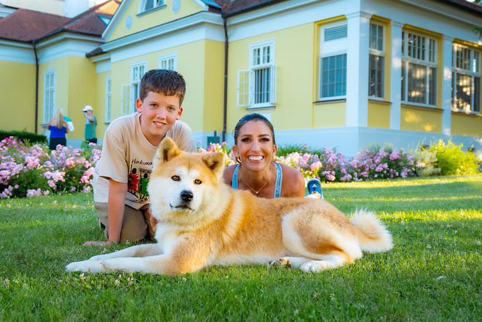 Kiskutyák a kifutón: Nemes ügy mellé álltak a sztárok -  -  - dogs on the catwalk, Kiskutyák a kifutón, kutyák, kutyus, örökbefogadás, örökbefogadható kutyák, 