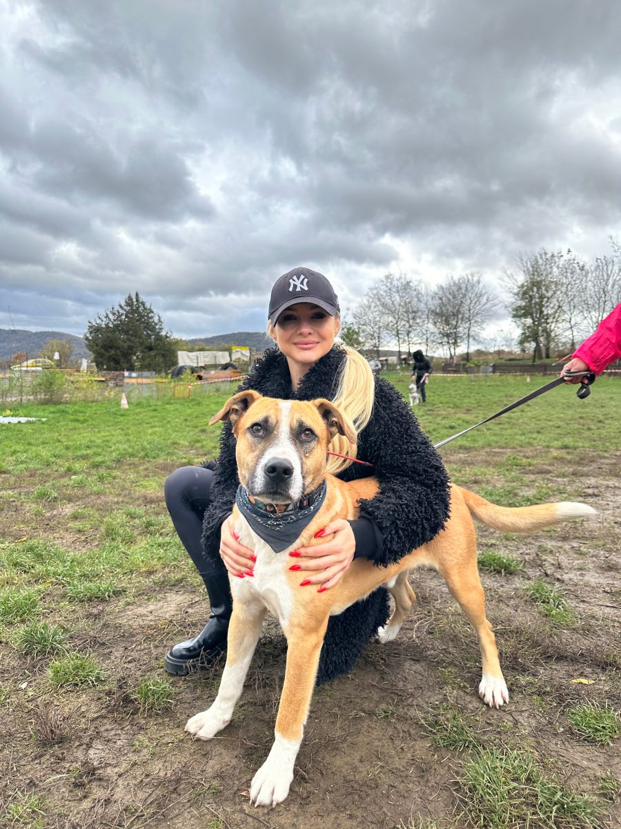 Kiskutyák a kifutón: Nemes ügy mellé álltak a sztárok -  -  - dogs on the catwalk, Kiskutyák a kifutón, kutyák, kutyus, örökbefogadás, örökbefogadható kutyák, 