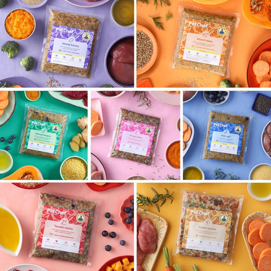 Friss ízek, egészség és szabadság: Hogyan segített a PetChef kutyaeledel allergiás kutyusunknak? - Egészség -  - kutya allergia, kutyakaja, petchef, petchef vélemények,